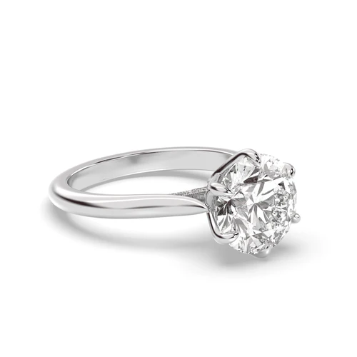 Lily Engagement
