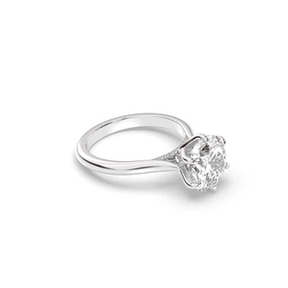 Round  Lily Engagement