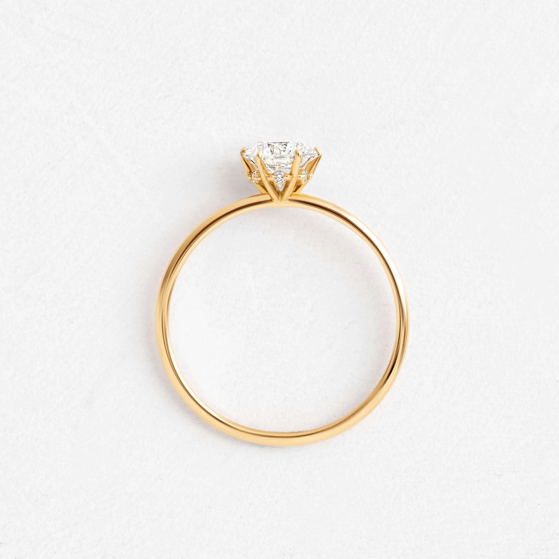Round Elegance