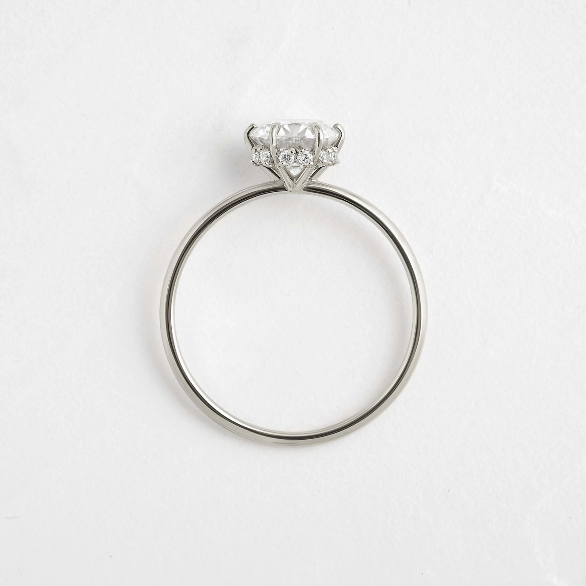 Round Elegance