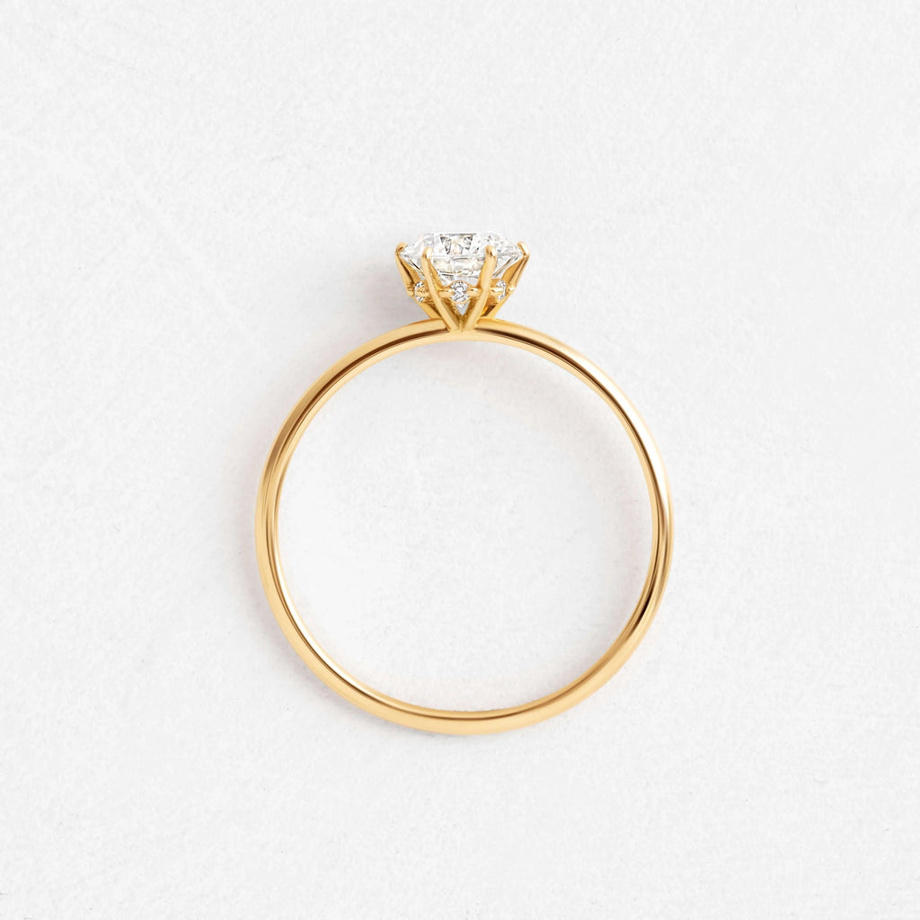 Round Elegance