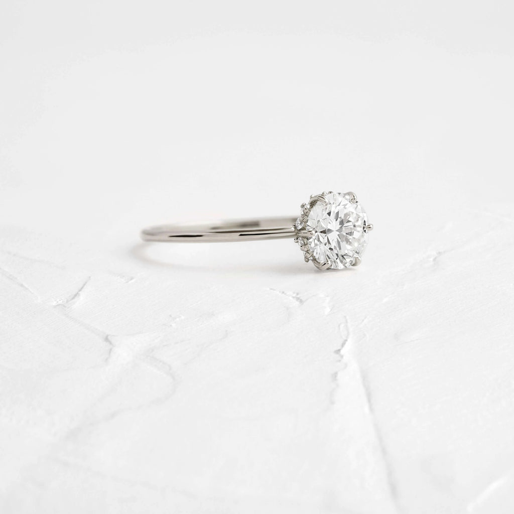 Round Elegance