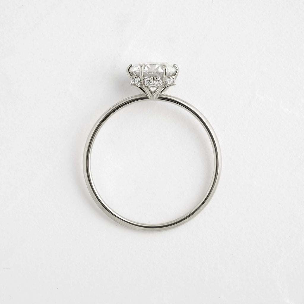 Round Elegance