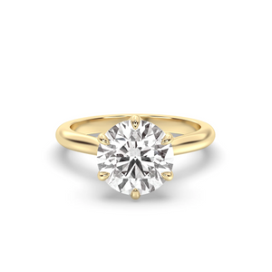 Lily Engagement