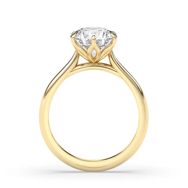 Round  Simple Lily Engagement